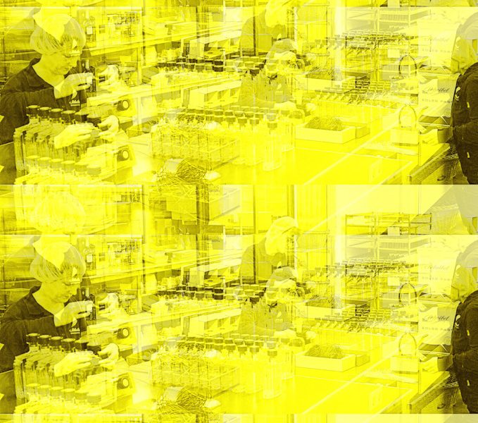 Manufakturen-Blog-PopArt-Projekt: Mitarbeiter V, saphirgelb (Foto: Wigmar Bressel) - basierend auf einem Foto von Martin Specht in der Emil Scheibel Schwarzwald-Brennerei in Kappelrodeck; Mitarbeiter beim Konfektionieren