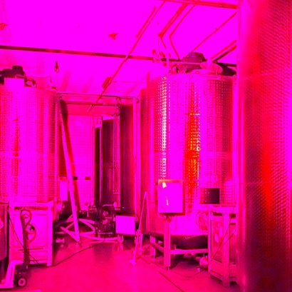 Manufakturen-Blog-PopArt-Projekt: Destille II dreifach, lila / rot (Foto: Wigmar Bressel) - basierend auf dem Ausschnitt eines Fotos von Martin Specht von Gärtanks in der Emil Scheibel Schwarzwald-Brennerei in Kappelrodeck