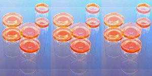 Manufakturen-Blog-PopArt-Projekt: Jubiläumsgläser IV dreifach, orange / hellblau (Foto: Wigmar Bressel) - basierend auf einem Foto von den Gläsern der Freiherr von Poschinger Glasmanufaktur in Frauenau im Bayerischen Wald zum 450jährigen Bestehen; das Besondere an ihnen ist, dass der Boden aus gegossenem Glas besteht, der Kelch aus mundgeblasenem - also das Beste aus zwei Welten...