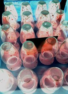 Manufakturen-Blog-PopArt-Projekt: Vasen, rosa (Foto: Wigmar Bressel) - basierend auf einem Foto von Martin Specht in der Produktion in der Glasmanufaktur Freiherr von Poschinger in Frauenau im Bayerischen Wald