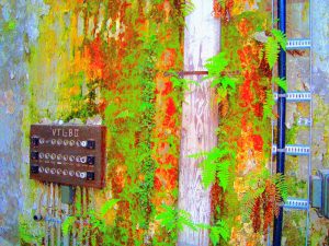 Manufakturen-Blog-PopArt-Projekt: Elektroverteilung III, gelb / neongrün / rot (Im Dschungel) (Foto: Wigmar Bressel) - basierend auf einem Foto in der Alten Poliererei der Silberwarenmanufaktur Koch & Bergfeld in der Bremer Neustadt