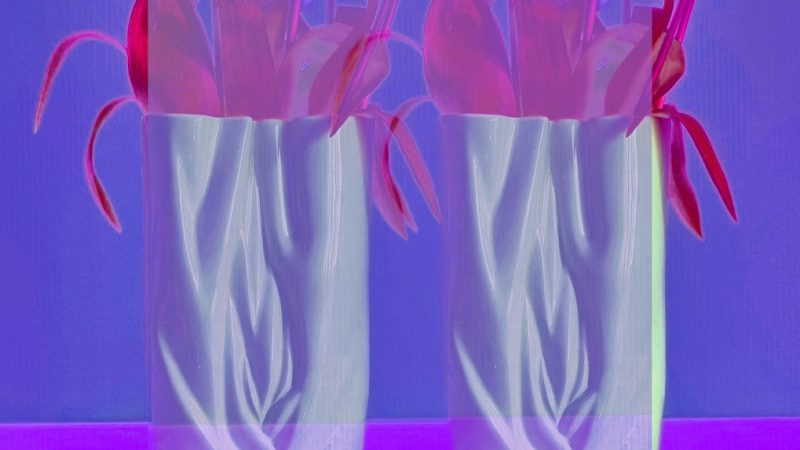 Manufakturen-Blog-PopArt-Projekt: Zwei Vasen, lavendelfarben (Foto: Wigmar Bressel) - basierend auf einem Foto einer Vase aus der Porzellanmanufaktur Meissen in Meißen auf einer Servierplatte der Independent-Keramikerin Claudia Schoemig aus Berlin