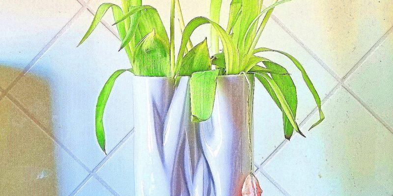 Manufakturen-Blog-PopArt-Projekt: Vase VI (Tulpen, verblüht), apricot (Foto: Wigmar Bressel) - basierend auf einem Foto einer Vase aus der Porzellanmanufaktur Meissen in Meißen mit verblühten Tulpen