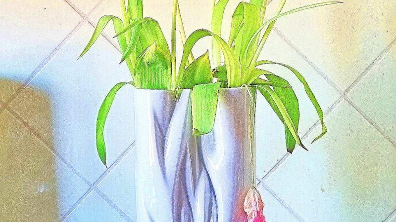 Manufakturen-Blog-PopArt-Projekt: Vase VI (Tulpen, verblüht), apricot (Foto: Wigmar Bressel) - basierend auf einem Foto einer Vase aus der Porzellanmanufaktur Meissen in Meißen mit verblühten Tulpen