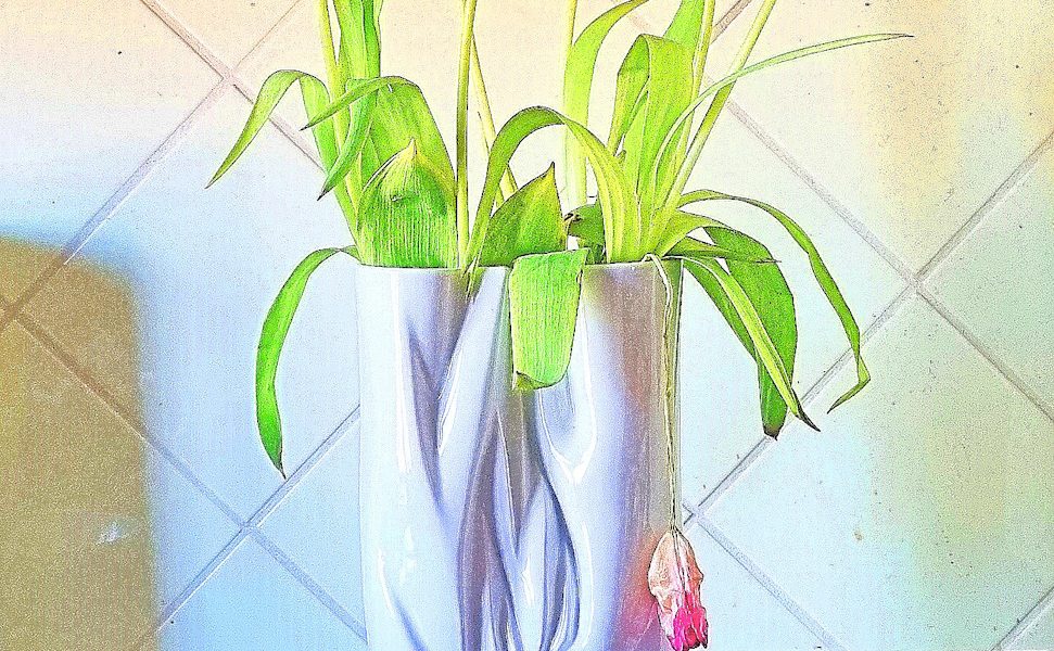 Manufakturen-Blog-PopArt-Projekt: Vase VI (Tulpen, verblüht), apricot (Foto: Wigmar Bressel) - basierend auf einem Foto einer Vase aus der Porzellanmanufaktur Meissen in Meißen mit verblühten Tulpen