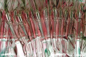 Manufakturen-Blog-PopArt-Projekt: Straßburger Empire, rot (Foto: Wigmar Bressel) - basierend auf einem Foto von Martin Specht beim Verpacken in der Silberwarenmanufaktur Wilkens in Bremen-Hemelingen