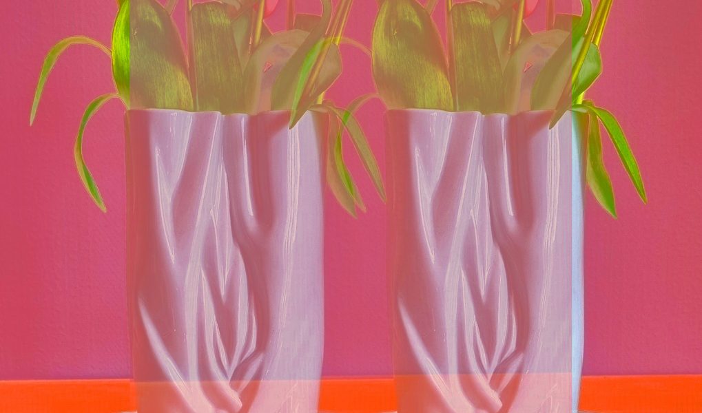Manufakturen-Blog-PopArt-Projekt: Zwei Vasen, rosa (Foto: Wigmar Bressel) - basierend auf einem Foto einer Vase aus der Porzellanmanufaktur Meissen in Meißen auf einer Servierplatte der Independent-Keramikerin Claudia Schoemig aus Berlin