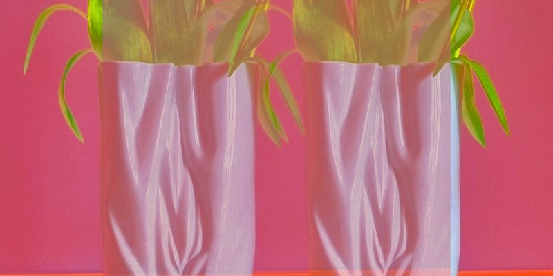 Manufakturen-Blog-PopArt-Projekt: Zwei Vasen, rosa (Foto: Wigmar Bressel) - basierend auf einem Foto einer Vase aus der Porzellanmanufaktur Meissen in Meißen auf einer Servierplatte der Independent-Keramikerin Claudia Schoemig aus Berlin