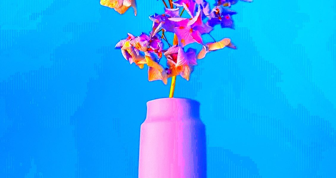 Manufakturen-Blog-PopArt-Projekt: Vase VII, rosa (Foto: Wigmar Bressel) - basierend auf einem Foto der Vase 'Tini' von Peter Smalun in den 1960er Jahren für die Porzellanmanufaktur Weimar-Porzellan (1790 - 2018) im thüringischen Blankenhain - Neuauflage von der Porzellanmanufaktur Reichenbach für das 'Projekt unverloren' von Susanne Katzenberg in Hamburg