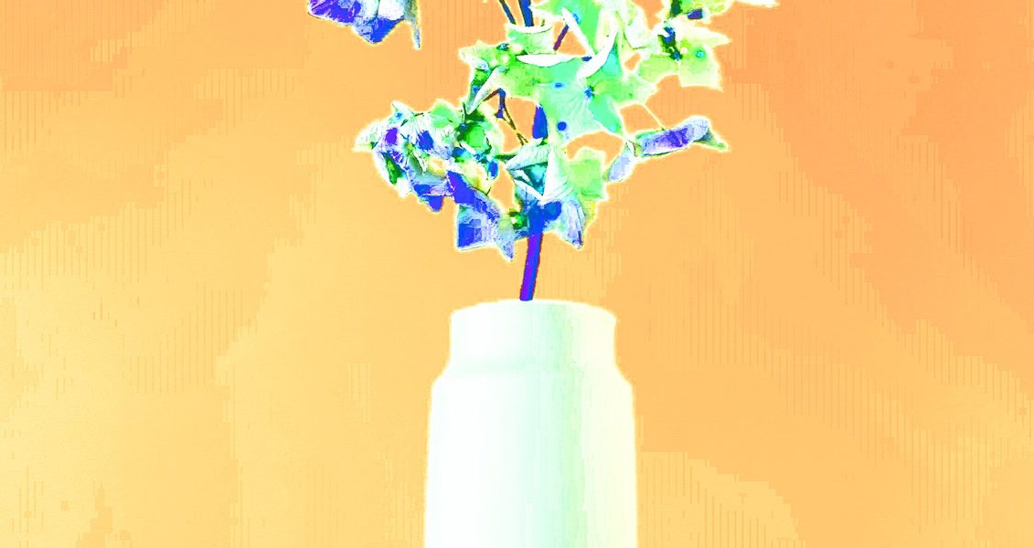 Manufakturen-Blog-PopArt-Projekt: Vase VII, weiß (Foto: Wigmar Bressel) - basierend auf einem Foto der Vase 'Tini' von Peter Smalun in den 1960er Jahren für die Porzellanmanufaktur Weimar-Porzellan (1790 - 2018) im thüringischen Blankenhain - Neuauflage von der Porzellanmanufaktur Reichenbach für das 'Projekt unverloren' von Susanne Katzenberg in Hamburg