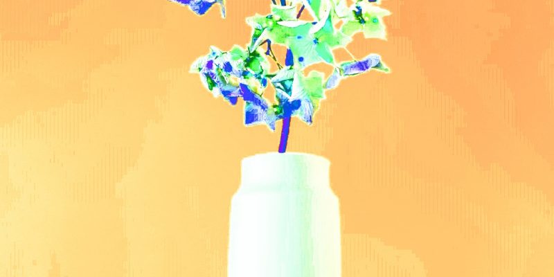 Manufakturen-Blog-PopArt-Projekt: Vase VII, weiß (Foto: Wigmar Bressel) - basierend auf einem Foto der Vase 'Tini' von Peter Smalun in den 1960er Jahren für die Porzellanmanufaktur Weimar-Porzellan (1790 - 2018) im thüringischen Blankenhain - Neuauflage von der Porzellanmanufaktur Reichenbach für das 'Projekt unverloren' von Susanne Katzenberg in Hamburg