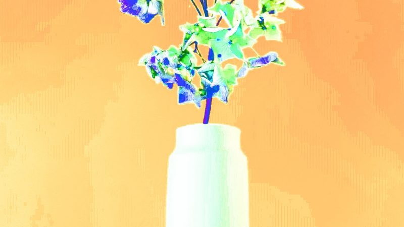 Manufakturen-Blog-PopArt-Projekt: Vase VII, weiß (Foto: Wigmar Bressel) - basierend auf einem Foto der Vase 'Tini' von Peter Smalun in den 1960er Jahren für die Porzellanmanufaktur Weimar-Porzellan (1790 - 2018) im thüringischen Blankenhain - Neuauflage von der Porzellanmanufaktur Reichenbach für das 'Projekt unverloren' von Susanne Katzenberg in Hamburg