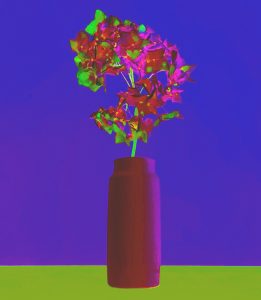 Manufakturen-Blog-PopArt-Projekt: Vase VII, ochsenblutrot (Foto: Wigmar Bressel) - basierend auf einem Foto der Vase 'Tini' von Peter Smalun in den 1960er Jahren für die Porzellanmanufaktur Weimar-Porzellan (1790 - 2018) im thüringischen Blankenhain - Neuauflage von der Porzellanmanufaktur Reichenbach für das 'Projekt unverloren' von Susanne Katzenberg in Hamburg