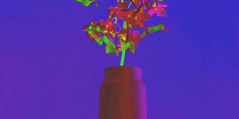 Manufakturen-Blog-PopArt-Projekt: Vase VII, ochsenblutrot (Foto: Wigmar Bressel) - basierend auf einem Foto der Vase 'Tini' von Peter Smalun in den 1960er Jahren für die Porzellanmanufaktur Weimar-Porzellan (1790 - 2018) im thüringischen Blankenhain - Neuauflage von der Porzellanmanufaktur Reichenbach für das 'Projekt unverloren' von Susanne Katzenberg in Hamburg