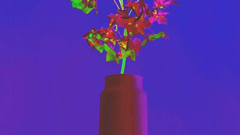 Manufakturen-Blog-PopArt-Projekt: Vase VII, ochsenblutrot (Foto: Wigmar Bressel) - basierend auf einem Foto der Vase 'Tini' von Peter Smalun in den 1960er Jahren für die Porzellanmanufaktur Weimar-Porzellan (1790 - 2018) im thüringischen Blankenhain - Neuauflage von der Porzellanmanufaktur Reichenbach für das 'Projekt unverloren' von Susanne Katzenberg in Hamburg