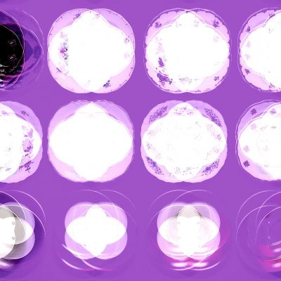 Manufakturen-Blog-PopArt-Projekt: Teller XI (Fahnen), lila (Foto: Wigmar Bressel) - basierend auf einem Foto bei Weimar-Porzellan, der Porzellanmanufaktur in Blankenhain; es handelt sich um Teller an einer Wand mit historischen Dekoren aus mehr als 200 Jahren der langen Firmengeschichte (1790 - 2018)...