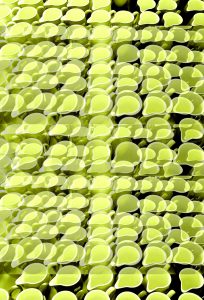 Manufakturen-Blog-PopArt-Projekt: Kännchen III, zitronengelb (Foto: Wigmar Bressel) - basierend auf einem Foto im Werksverkauf der Porzellanmanufaktur Dibbern in der Produktion in Hohenberg an der Eger