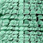 Manufakturen-Blog-PopArt-Projekt: Kännchen III, lindgrün (Foto: Wigmar Bressel) - basierend auf einem Foto im Werksverkauf der Porzellanmanufaktur Dibbern in der Produktion in Hohenberg an der Eger