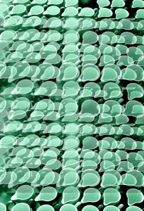 Manufakturen-Blog-PopArt-Projekt: Kännchen III, lindgrün (Foto: Wigmar Bressel) - basierend auf einem Foto im Werksverkauf der Porzellanmanufaktur Dibbern in der Produktion in Hohenberg an der Eger