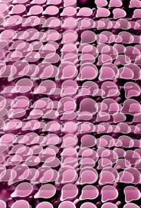 Manufakturen-Blog-PopArt-Projekt: Kännchen III, rosa (Foto: Wigmar Bressel) - basierend auf einem Foto im Werksverkauf der Porzellanmanufaktur Dibbern in der Produktion in Hohenberg an der Eger