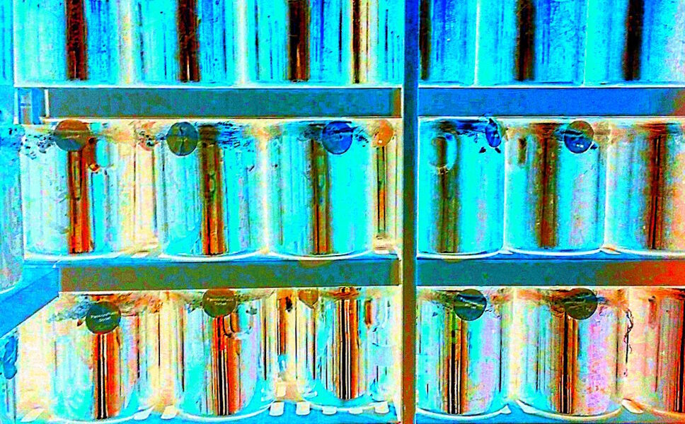 Manufakturen-Blog-PopArt-Projekt: Dosen, blau (Foto: Wigmar Bressel) - basierend auf einem Foto im Gefrierraum in der Produktion von Henry's Eismanufaktur in Saarbrücken