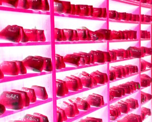 Manufakturen-Blog-PopArt-Projekt: Leisten, rot (Foto: Wigmar Bressel) - basierend auf einem Foto von Martin Specht in der Maßschuhmanufaktur Vickermann & Stoya in der Merkurstraße 5 in Baden-Baden