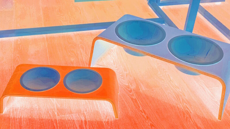 Manufakturen-Blog-PopArt-Projekt: Shining DogBar, pastellfarben (Foto: Wigmar Bressel) - basierend auf einem Foto von Christian-Arne de Groot von des im Rahmen des Wettbewerbs zum 'Manufaktur-Produkt des Jahres 2019' ausgezeichneten Futternapfs 'DogBar' von Feine Dame aus Münster; die Porzellannäpfe stammen aus der Porzellanmanufakur Reichenbach in Thüringen.