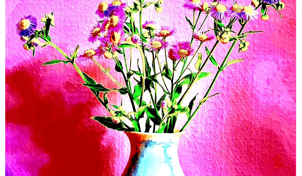 Manufakturen-Blog-PopArt-Projekt: Vase XV, pink / rot (Foto: Wigmar Bressel) - basierend auf einem Foto einer Vase der historischen Serie 'Rokoko-Form Dubarry' und dem Dekor 'Midinette' aus der Porzellanmanufaktur Kaiser in Bad Staffelstein (ehemals Aboth & Kaiser in Coburg).