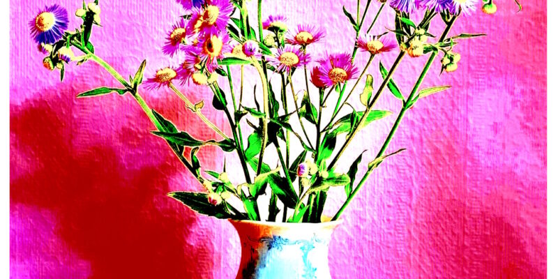 Manufakturen-Blog-PopArt-Projekt: Vase XV, pink / rot (Foto: Wigmar Bressel) - basierend auf einem Foto einer Vase der historischen Serie 'Rokoko-Form Dubarry' und dem Dekor 'Midinette' aus der Porzellanmanufaktur Kaiser in Bad Staffelstein (ehemals Aboth & Kaiser in Coburg).
