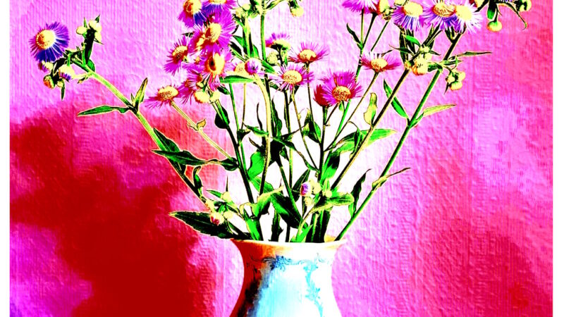 Manufakturen-Blog-PopArt-Projekt: Vase XV, pink / rot (Foto: Wigmar Bressel) - basierend auf einem Foto einer Vase der historischen Serie 'Rokoko-Form Dubarry' und dem Dekor 'Midinette' aus der Porzellanmanufaktur Kaiser in Bad Staffelstein (ehemals Aboth & Kaiser in Coburg).