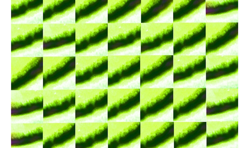 Manufakturen-Blog-PopArt-Projekt: Tassen V (Strandtuch), neongelb / dunkelgrün (Foto: Wigmar Bressel) - basierend auf einem Foto von einem Dekor der Porzellanmanufaktur Fürstenberg aus den 1970er Jahren, in diesem Fall auch noch basierend auf einem Post vom 29. März 2025