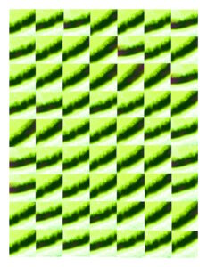 Manufakturen-Blog-PopArt-Projekt: Tassen II (Strandtuch), neongelb / dunkelgrün (Foto: Wigmar Bressel) - basierend auf einem Foto von einem Dekor der Porzellanmanufaktur Fürstenberg aus den 1970er Jahren, in diesem Fall auch noch basierend auf einem Post vom 29. März 2025