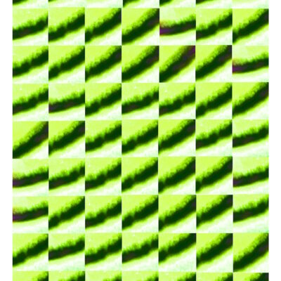 Manufakturen-Blog-PopArt-Projekt: Tassen V (Strandtuch), neongelb / dunkelgrün (Foto: Wigmar Bressel) - basierend auf einem Foto von einem Dekor der Porzellanmanufaktur Fürstenberg aus den 1970er Jahren, in diesem Fall auch noch basierend auf einem Post vom 29. März 2025