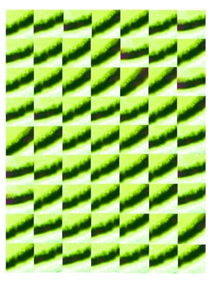 Manufakturen-Blog-PopArt-Projekt: Tassen V (Strandtuch), neongelb / dunkelgrün (Foto: Wigmar Bressel) - basierend auf einem Foto von einem Dekor der Porzellanmanufaktur Fürstenberg aus den 1970er Jahren, in diesem Fall auch noch basierend auf einem Post vom 29. März 2025