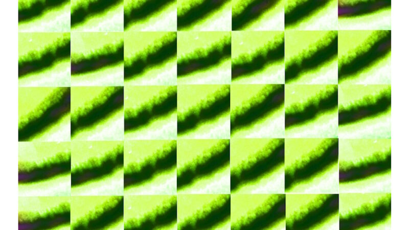 Manufakturen-Blog-PopArt-Projekt: Tassen V (Strandtuch), neongelb / dunkelgrün (Foto: Wigmar Bressel) - basierend auf einem Foto von einem Dekor der Porzellanmanufaktur Fürstenberg aus den 1970er Jahren, in diesem Fall auch noch basierend auf einem Post vom 29. März 2025