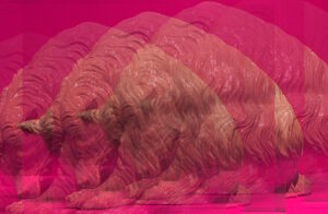 Manufakturen-Blog-PopArt-Projekt: Der Bär, violett (Foto: Wigmar Bressel) - basierend auf einem Foto einer Tierplastik in der Dauerausstellung der Porzellanmanufaktur Meissen in der 'Meissen-Welt' in der Meißener Talstraße