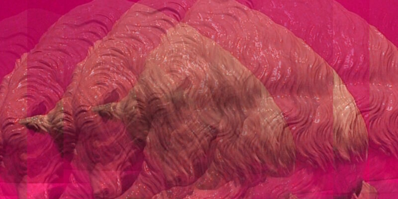 Manufakturen-Blog-PopArt-Projekt: Der Bär, violett (Foto: Wigmar Bressel) - basierend auf einem Foto einer Tierplastik in der Dauerausstellung der Porzellanmanufaktur Meissen in der 'Meissen-Welt' in der Meißener Talstraße