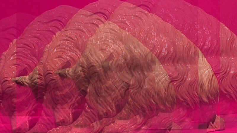 Manufakturen-Blog-PopArt-Projekt: Der Bär, violett (Foto: Wigmar Bressel) - basierend auf einem Foto einer Tierplastik in der Dauerausstellung der Porzellanmanufaktur Meissen in der 'Meissen-Welt' in der Meißener Talstraße