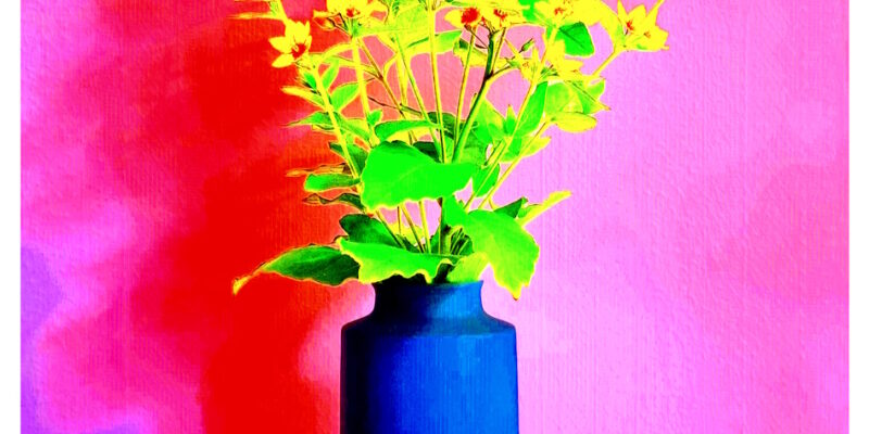 Manufakturen-Blog-PopArt-Projekt: Vase XVI, pink / rot (Foto: Wigmar Bressel) - basierend auf einem Foto der Vase 'Tini' des Ostpreußen Peter Smalun (1939 - 2023) für die Weimarer Porzellanmanufaktur (1790 - 2018) in den 1960er Jahren, vor der Verschrottung gerettet von der Hamburger Fotojournalistin Susanne Katzenberg (1967 - 2026) mit ihrem 'Projekt unverloren', produziert in der Porzellanmanufaktur Reichenbach; hier in Funktion für den 'Punktierten Gilbweiderich'...