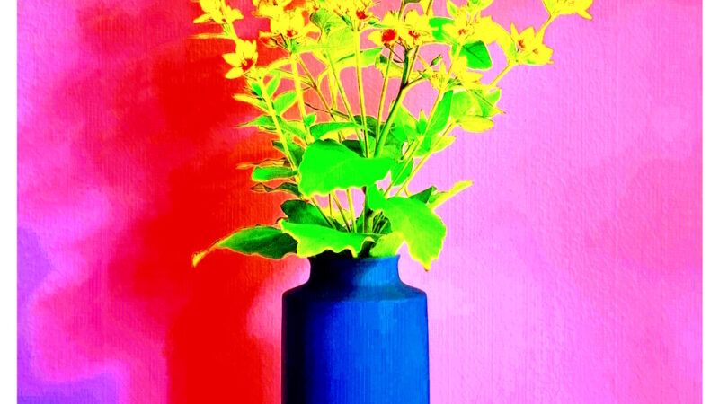 Manufakturen-Blog-PopArt-Projekt: Vase XVI, pink / rot (Foto: Wigmar Bressel) - basierend auf einem Foto der Vase 'Tini' des Ostpreußen Peter Smalun (1939 - 2023) für die Weimarer Porzellanmanufaktur (1790 - 2018) in den 1960er Jahren, vor der Verschrottung gerettet von der Hamburger Fotojournalistin Susanne Katzenberg (1967 - 2026) mit ihrem 'Projekt unverloren', produziert in der Porzellanmanufaktur Reichenbach; hier in Funktion für den 'Punktierten Gilbweiderich'...