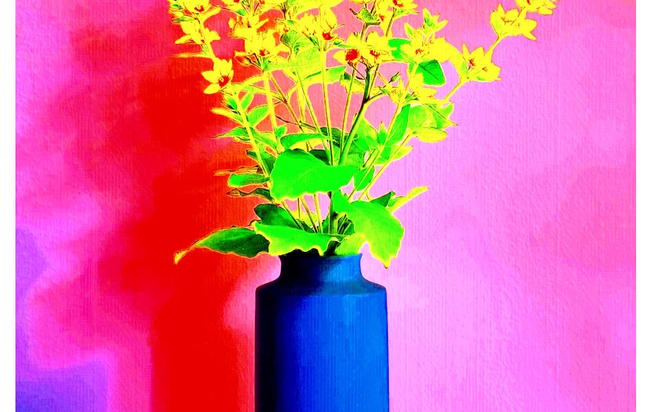 Manufakturen-Blog-PopArt-Projekt: Vase XVI, pink / rot (Foto: Wigmar Bressel) - basierend auf einem Foto der Vase 'Tini' des Ostpreußen Peter Smalun (1939 - 2023) für die Weimarer Porzellanmanufaktur (1790 - 2018) in den 1960er Jahren, vor der Verschrottung gerettet von der Hamburger Fotojournalistin Susanne Katzenberg (1967 - 2026) mit ihrem 'Projekt unverloren', produziert in der Porzellanmanufaktur Reichenbach; hier in Funktion für den 'Punktierten Gilbweiderich'...