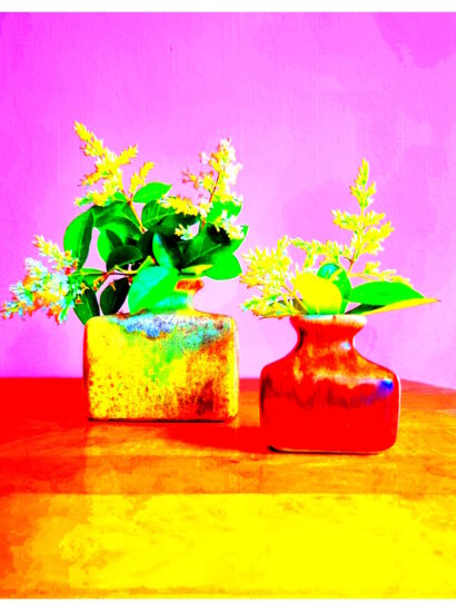 Manufakturen-Blog-PopArt-Projekt: Zwei Vasen II, pink / rot / gelb (Foto: Wigmar Bressel) - basierend auf einem Foto von zwei Vasen aus der Keramikmanufaktur Silberdistel-Fayencen mit Japanischem Liguster