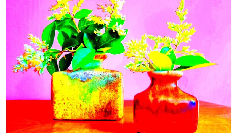 Manufakturen-Blog-PopArt-Projekt: Zwei Vasen II, pink / rot / gelb (Foto: Wigmar Bressel) - basierend auf einem Foto von zwei Vasen aus der Keramikmanufaktur Silberdistel-Fayencen mit Japanischem Liguster