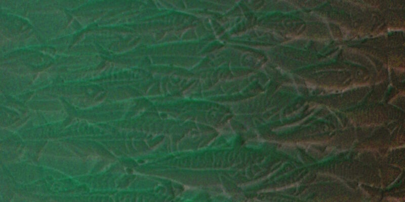 Manufakturen-Blog-PopArt-Projekt: Fische II, grün (Foto: Wigmar Bressel) - basierend auf einem Foto des Reliefs auf einem doppelwandigen Porzellanbecher der Serie 'Touché - La Mer' der niedersächsischen Staats-Porzellanmanufaktur Fürstenberg