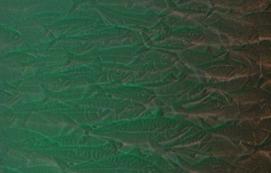 Manufakturen-Blog-PopArt-Projekt: Fische II, grün (Foto: Wigmar Bressel) - basierend auf einem Foto des Reliefs auf einem doppelwandigen Porzellanbecher der Serie 'Touché - La Mer' der niedersächsischen Staats-Porzellanmanufaktur Fürstenberg