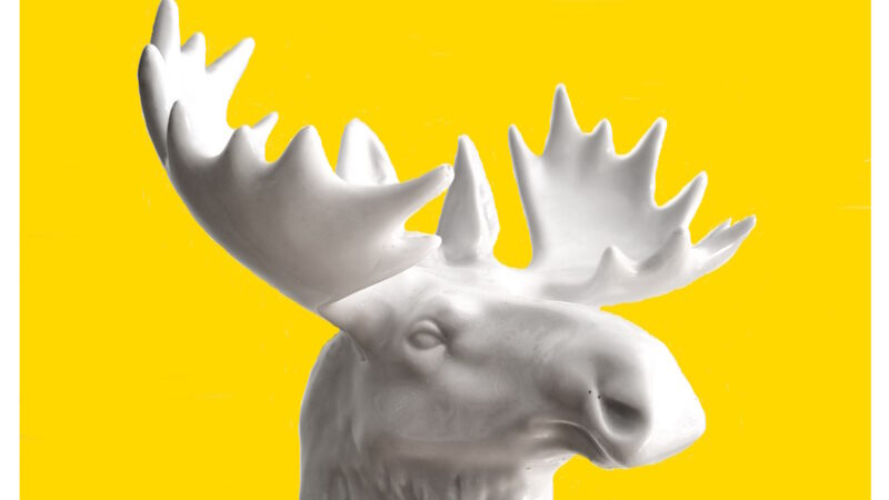 Manufakturen-Blog-PopArt-Projekt: Aus dem Tierreich III (Elch), goldgelb (Foto: Wigmar Bressel) - basierend auf dem Foto einer Porzellanplastik aus einer mir unbekannten Porzellanmanufaktur