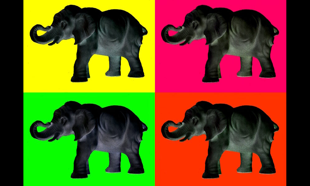 Manufakturen-Blog-PopArt-Projekt: Aus dem Tierreich II (Elefanten), bunt / schwarz (Foto: Wigmar Bressel) - basierend auf einem Foto einer Plastik der Thüringer Porzellanmanufaktur Reichenbach aus dem Fundus der Gräfenthaler Porzellanmanufaktur in der Reichenbacher Produktion