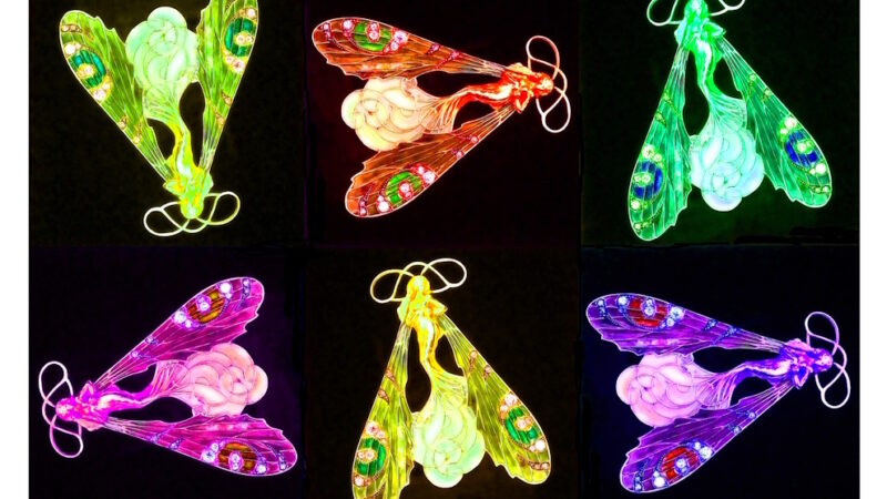 Manufakturen-Blog-PopArt-Projekt: Aus dem Tierreich I (Libellen), bunt / schwarz II (Foto: Wigmar Bressel) - basierend auf einem Foto des Kettenanhängers 'Weibliche Libelle' des Glasmanufakteurs René Lalique aus der Zeit zwischen 1897 und 1899, fotografiert im Werksmuseum der Glasmanufaktur Lalique im elsäßischen Wingen-sur-Moder.