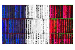 Manufakturen-Blog-PopArt-Projekt: Hochregallager VIII (Fahnen), blau / weiß / rot (Foto: Wigmar Bressel) aus der Serie 'Spiegelungen' - Collage, basierend auf einem Foto von Martin Specht in der Ofenhalle der Freiherr von Poschinger Glasmanufaktur in Frauenau im Bayerischen Wald
