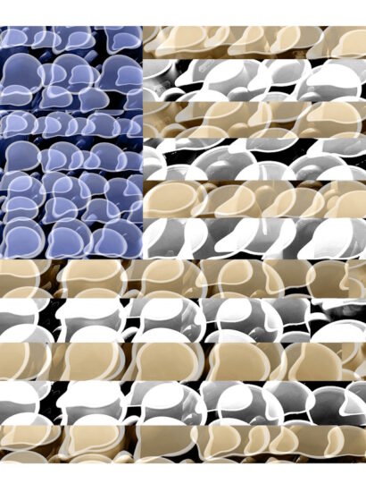 Manufakturen-Blog-PopArt-Projekt: Kännchen IV (Fahnen), blau / creme / weiß (Foto: Wigmar Bressel) - Collage, basierend auf einem Foto von Kännchen aus der Serie 'Solid Color' im Werksverkauf der Porzellanmanufaktur Dibbern in der Produktion in Hohenberg an der Eger